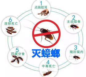 首页公司简介广告